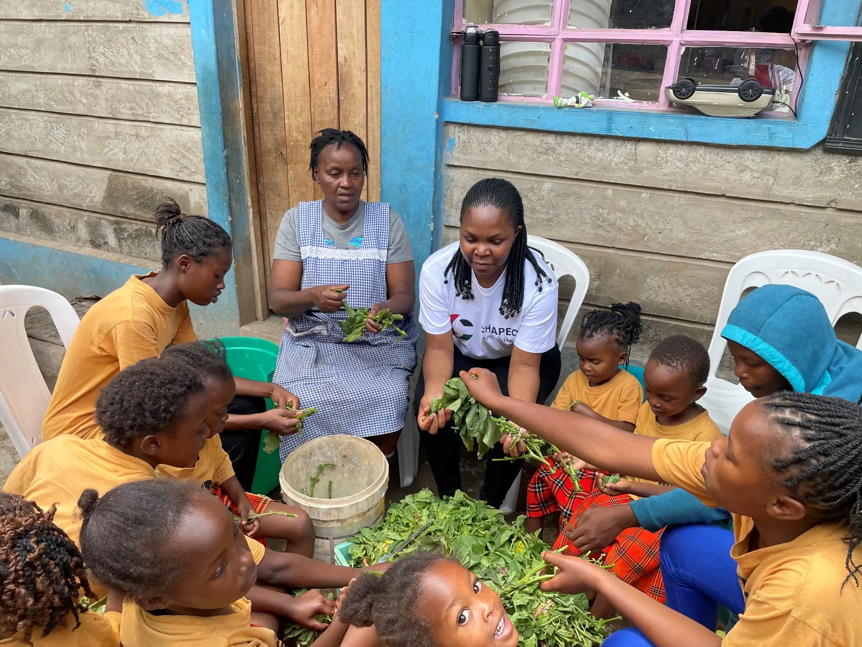 Children's home visit2